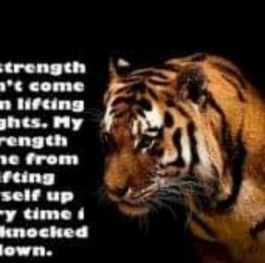 Meet your Posher, Samuel